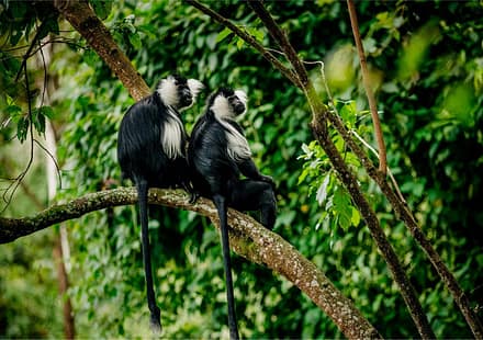 Burundi Nature & Culture 2-Day Tour